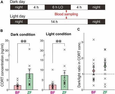 Effect of Darkness on Intrinsic Motivation for Undirected Singing in Bengalese Finch (Lonchura striata Domestica): A Comparative Study With Zebra Finch (Taeniopygia guttata)